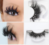 Strip de etiqueta de moda Fibra 4D Silk Eyelash